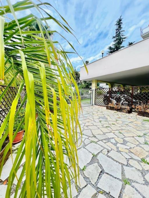 Suite Dei Fiori - Luxury Open Space Sanremo Esterno foto